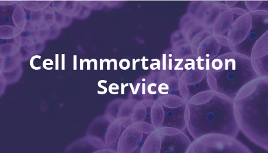 Cell Immortalization Servicee