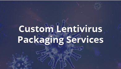 Custom Lentivirus Packaging Services