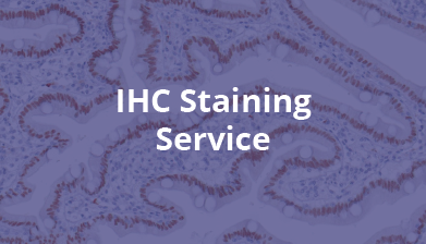 IHC Staining Service