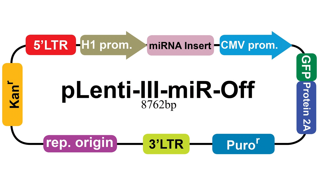pLenti-III-miR-Off2 vector map