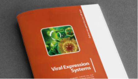Available Lentivirus Expression Systems