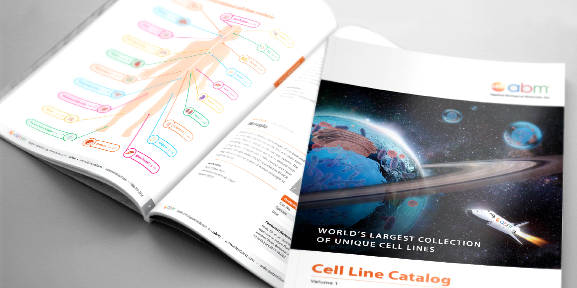 Cell Biology Catalog