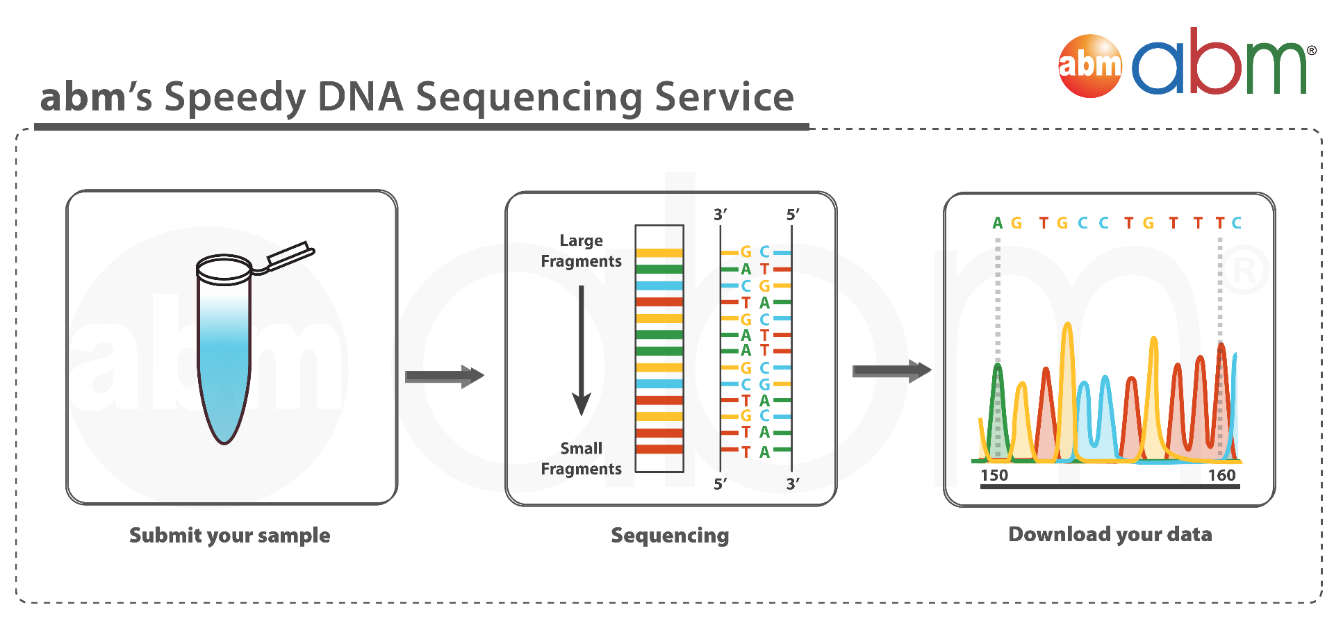 SpeedySeq DNA Sequencing Workflow