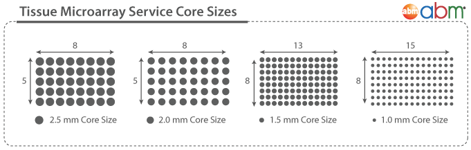 Tissue Microarray Services: Core Sizes